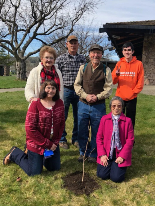 6 people stand/kneel behind the planted Ginkgo sapling in front of a campus building